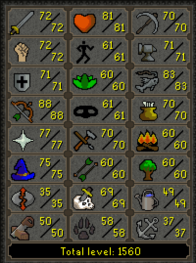 2049 Total | 126 Combat | Infernal Cape | Dizana's Quiver - Image 4