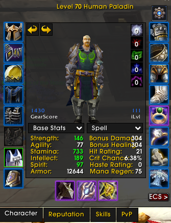 70 Human Paladin | Fake Name | 100% Riding / 60% Flying | 5/5 Righteous Set | Max Herb + Skinning | All Heroics Attuned