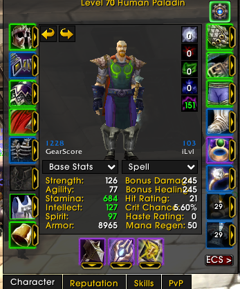 70 Human Paladin | Fake Name | 100% Riding / 60% Flying | 5/5 Righteous Set | Max Herb + Skinning | All Heroics Attuned - Image 4