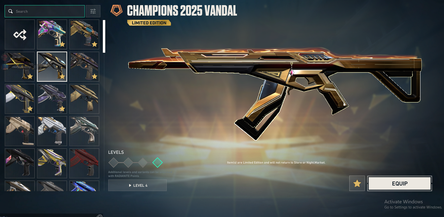 PC | Immortal Peak | Champions 2025 Butterfly Knife | Champions 2022 Phantom | 64 Skins | Full Email - Image 13