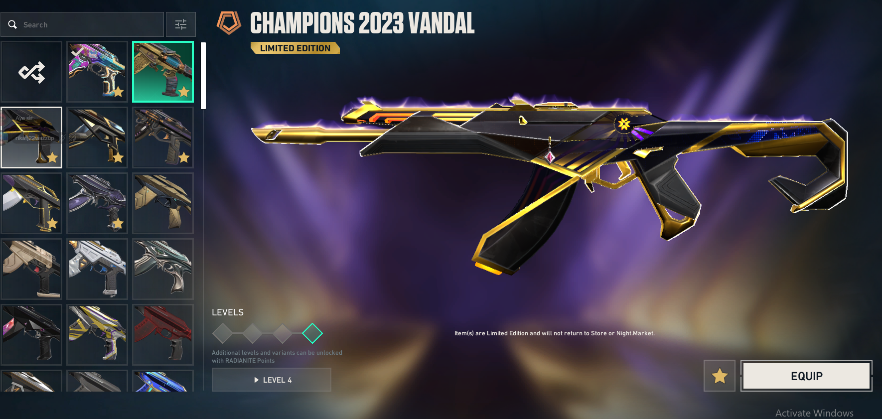 PC | Immortal Peak | Champions 2025 Butterfly Knife | Champions 2022 Phantom | 64 Skins | Full Email - Image 15