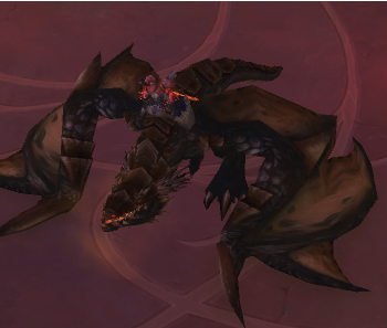 2x TBC Gladiator | Swift Nether Drake | Vengeful Nether Drake | MoP & WoD CM Gear | Black Proto-Drake | Amani War Bear