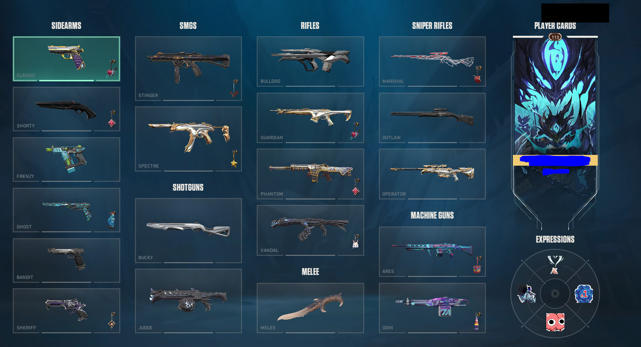 PC | Immortal Peak | Elderflame Dagger | Elderflame Vandal | 119 Skins | Full Email