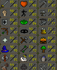 Ultimate Ironman | 2034 Total | 113 Combat - Image 3