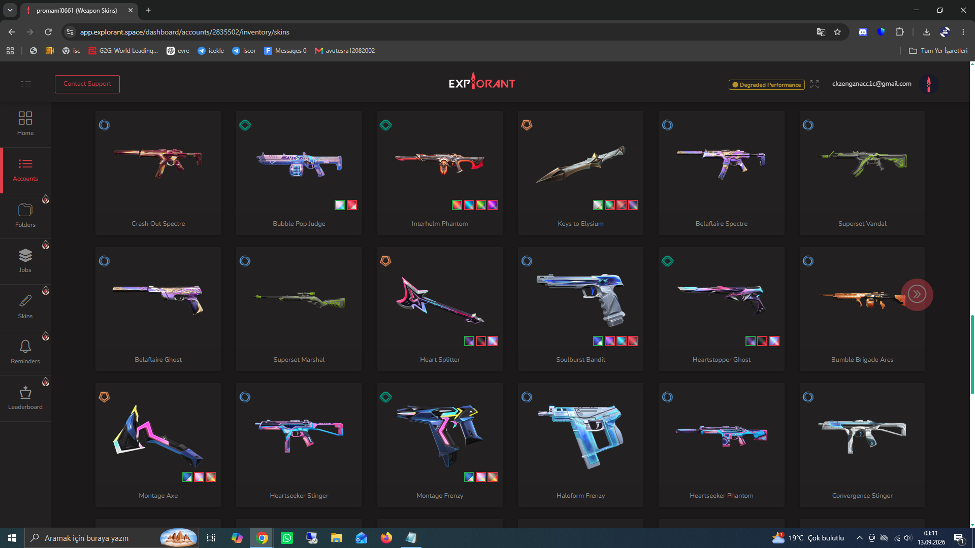 PC | Silver Peak | 99 Skins | Full Email - Image 4