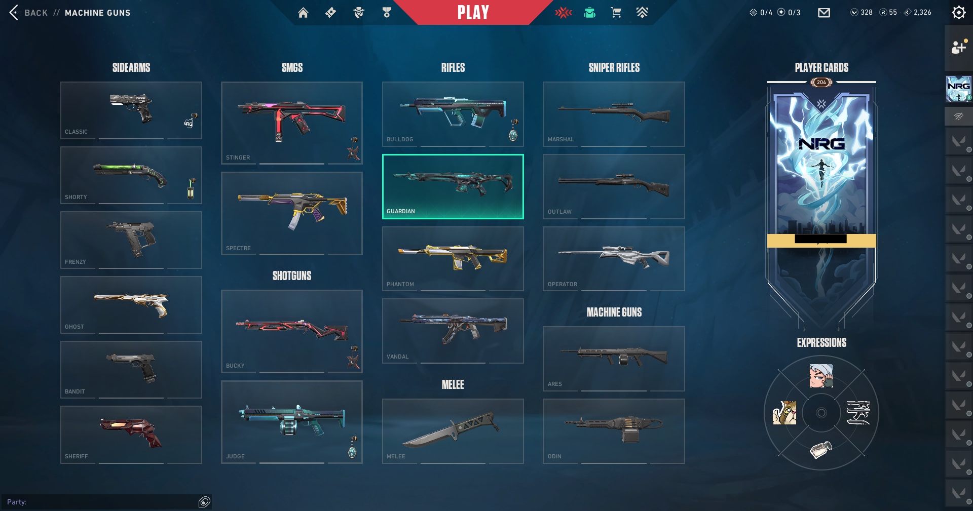 PC | Platinum Peak | Reaver Karambit | Champions 2023 Vandal | 102 Skins | Full Email