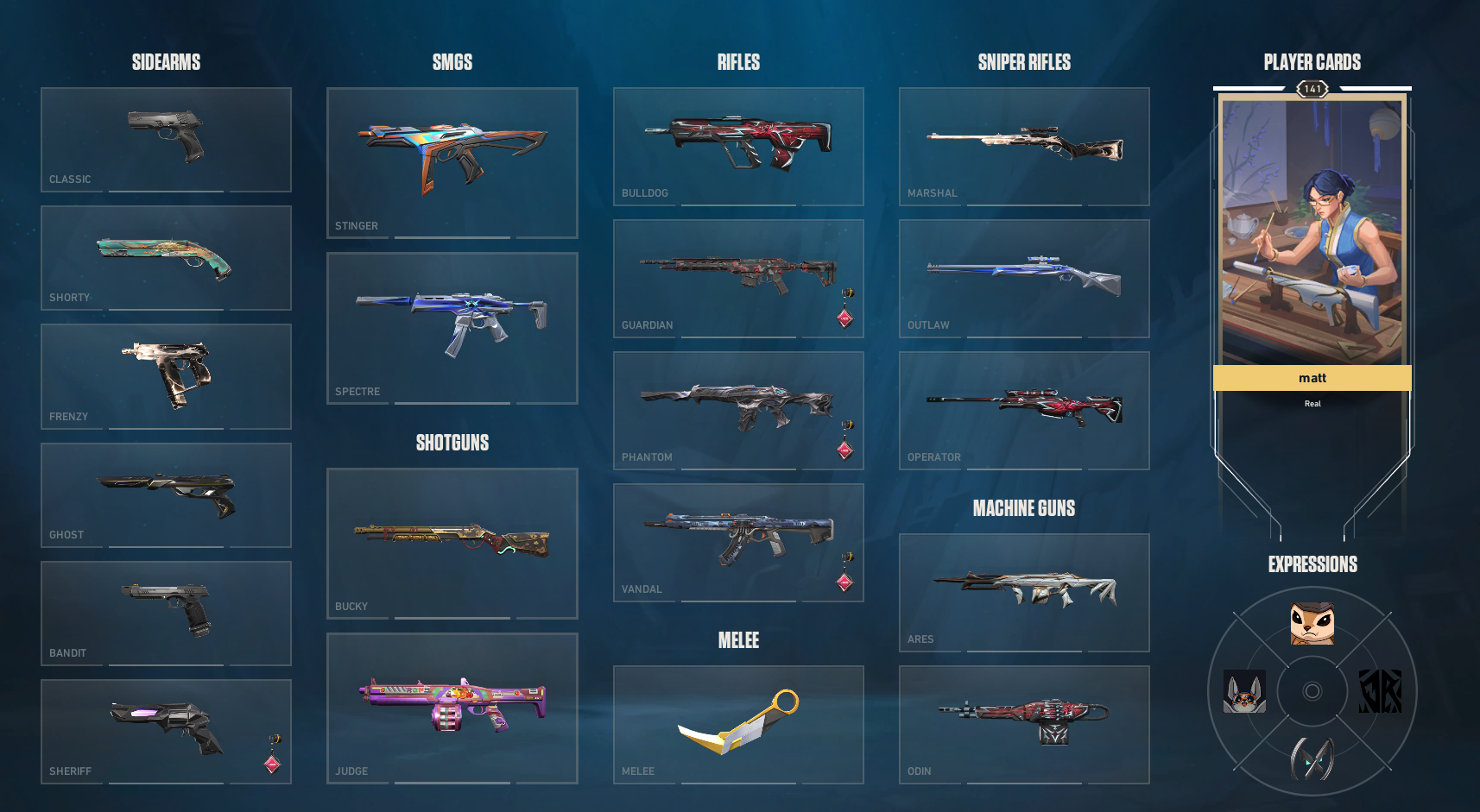 PC | Immortal Peak | Eternal Sovereign | Champions 2025 Vandal | 100 Skins | Full Email - Image 8