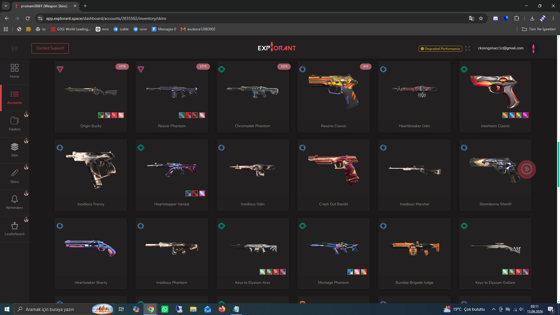 PC | Silver Peak | 99 Skins | Full Email - Image 10