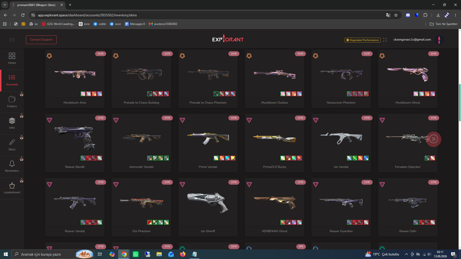 PC | Silver Peak | 99 Skins | Full Email - Image 11