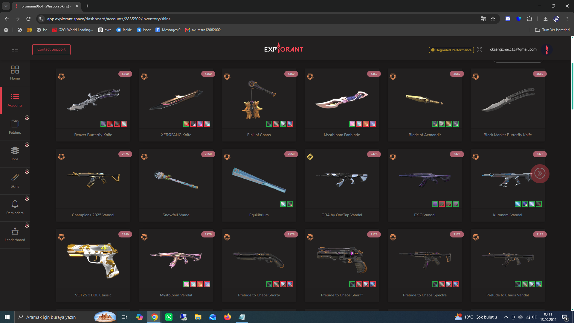 PC | Silver Peak | 99 Skins | Full Email - Image 12