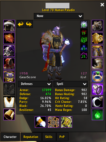 4-Character TBC Account | Raid-Ready Paladin Tank Duo | Phase 2 BiS Mage & Elemental Shaman - Image 6