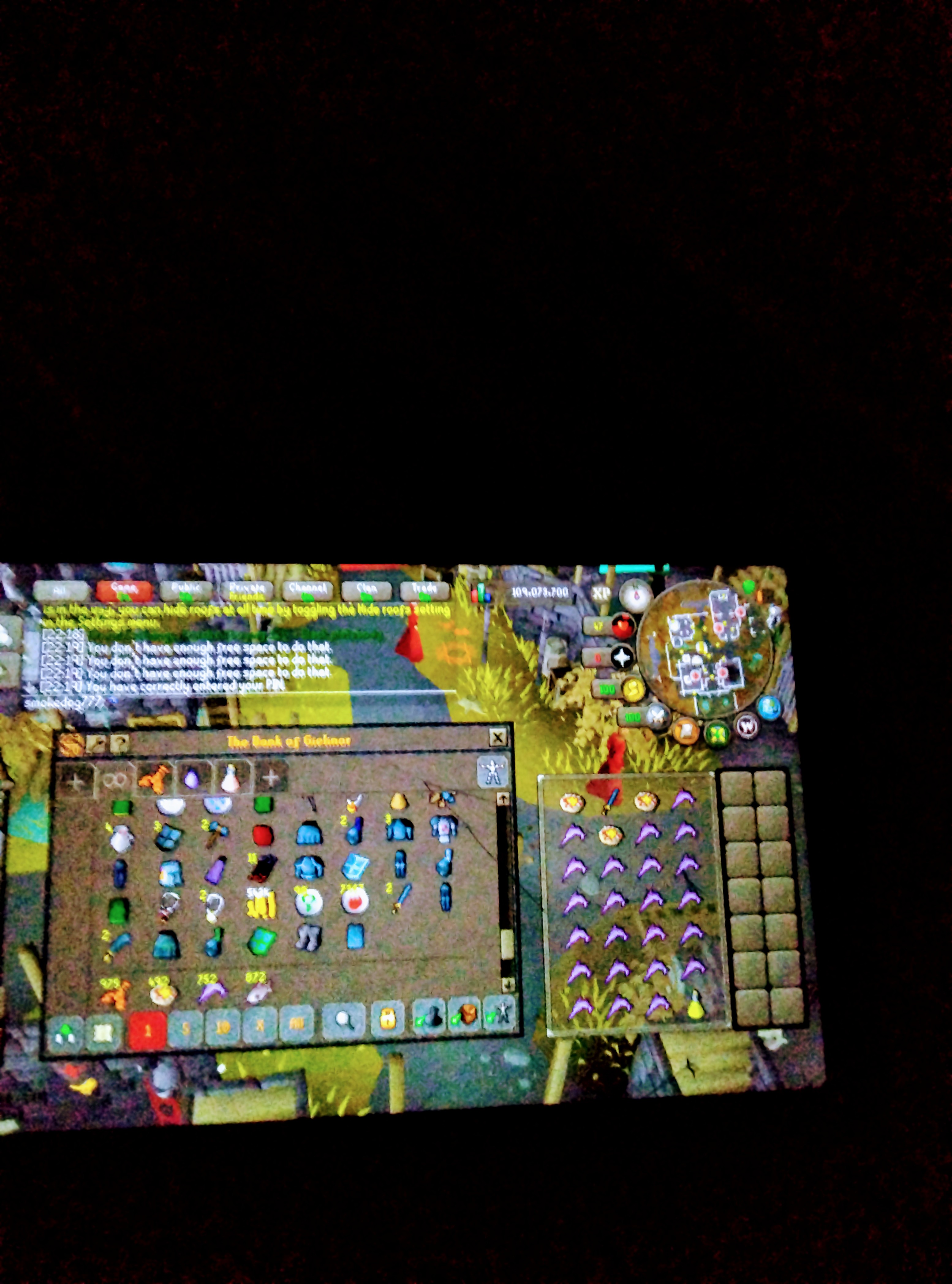 1378 Total | 123 Combat | Quest Cape - Image 6