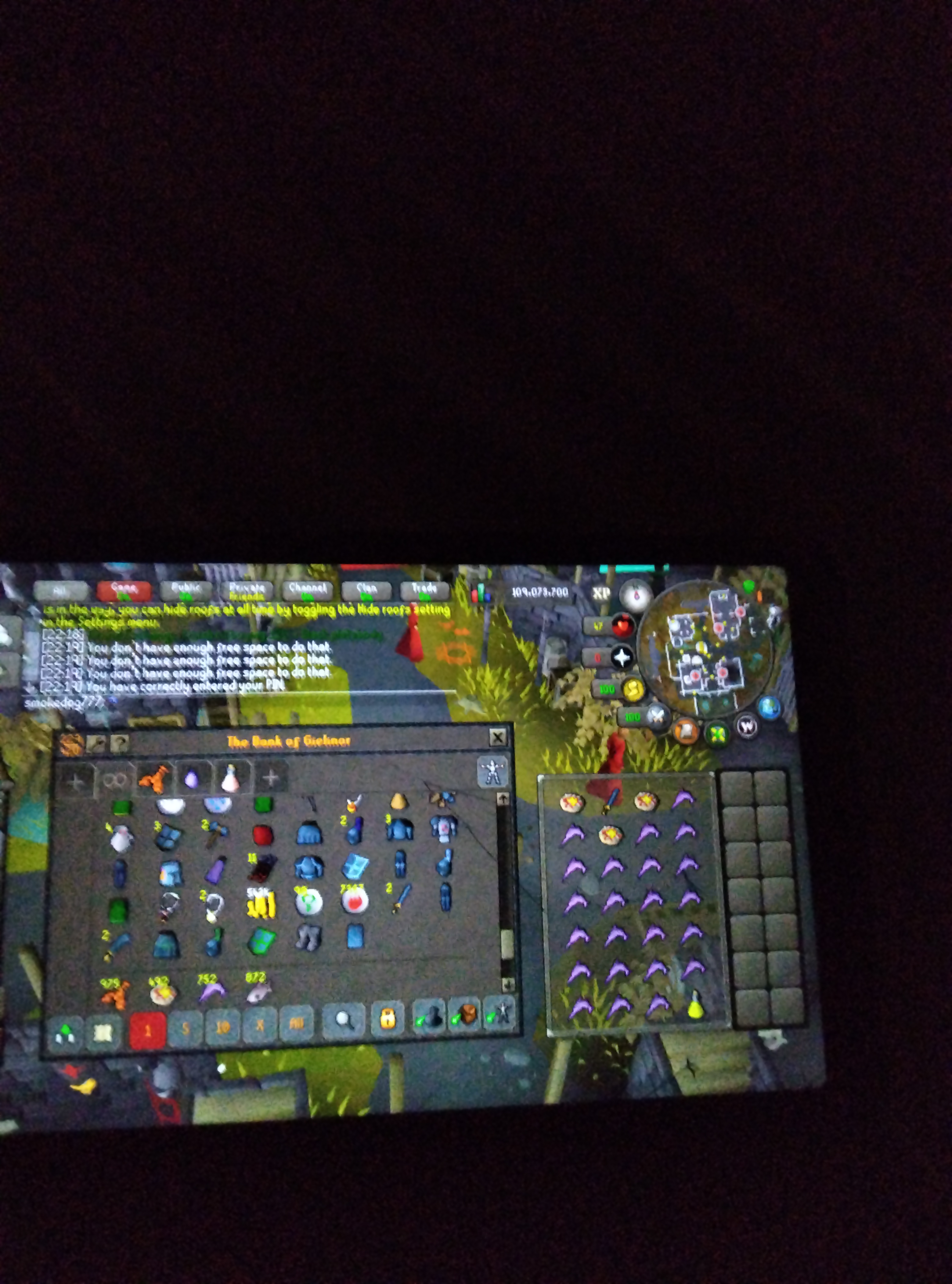 1378 Total | 123 Combat | Quest Cape - Image 7