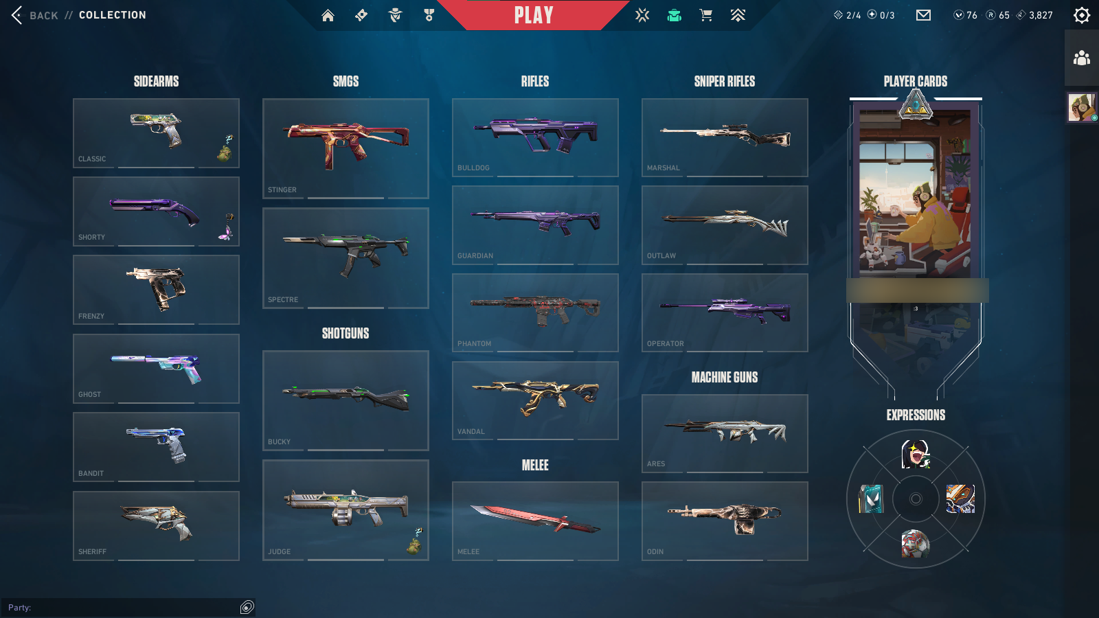 PC | Platinum Peak | Imperium Vandal | 28 Skins | Full Email - Image 4