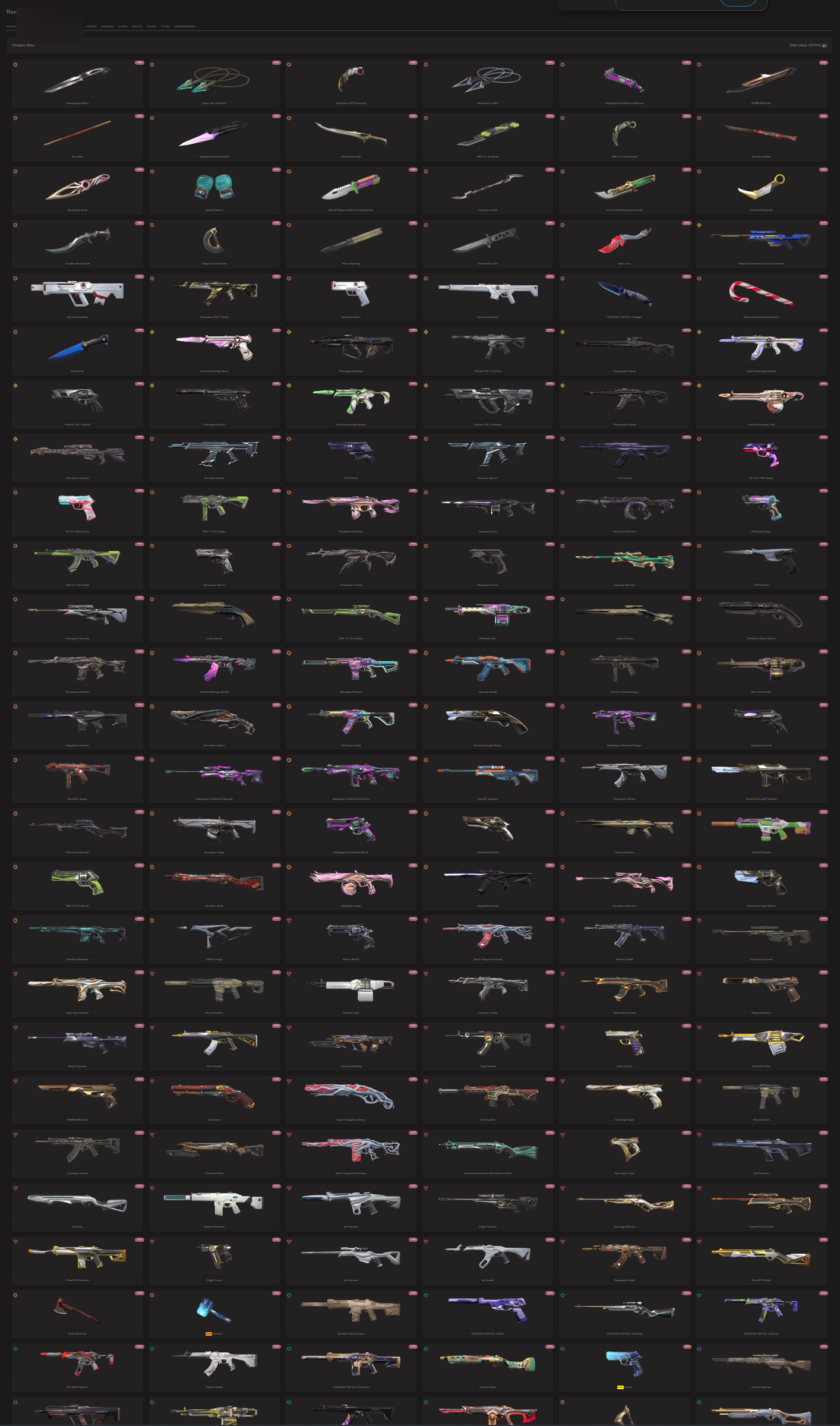 PC | Immortal Peak | Champions 2021 Karambit + Vandal | 22 Skins | Full Email