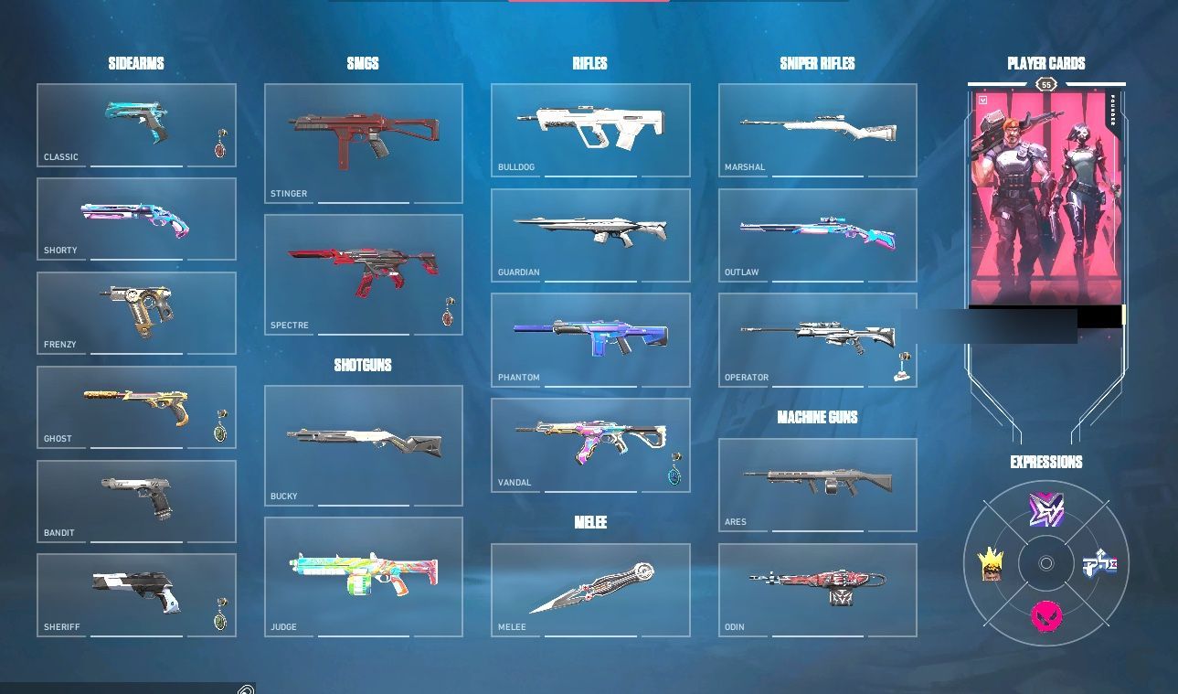 PC | Bronze Peak | Magepunk Sparkswitch | Araxys Guardian | 14 Skins | Full Email