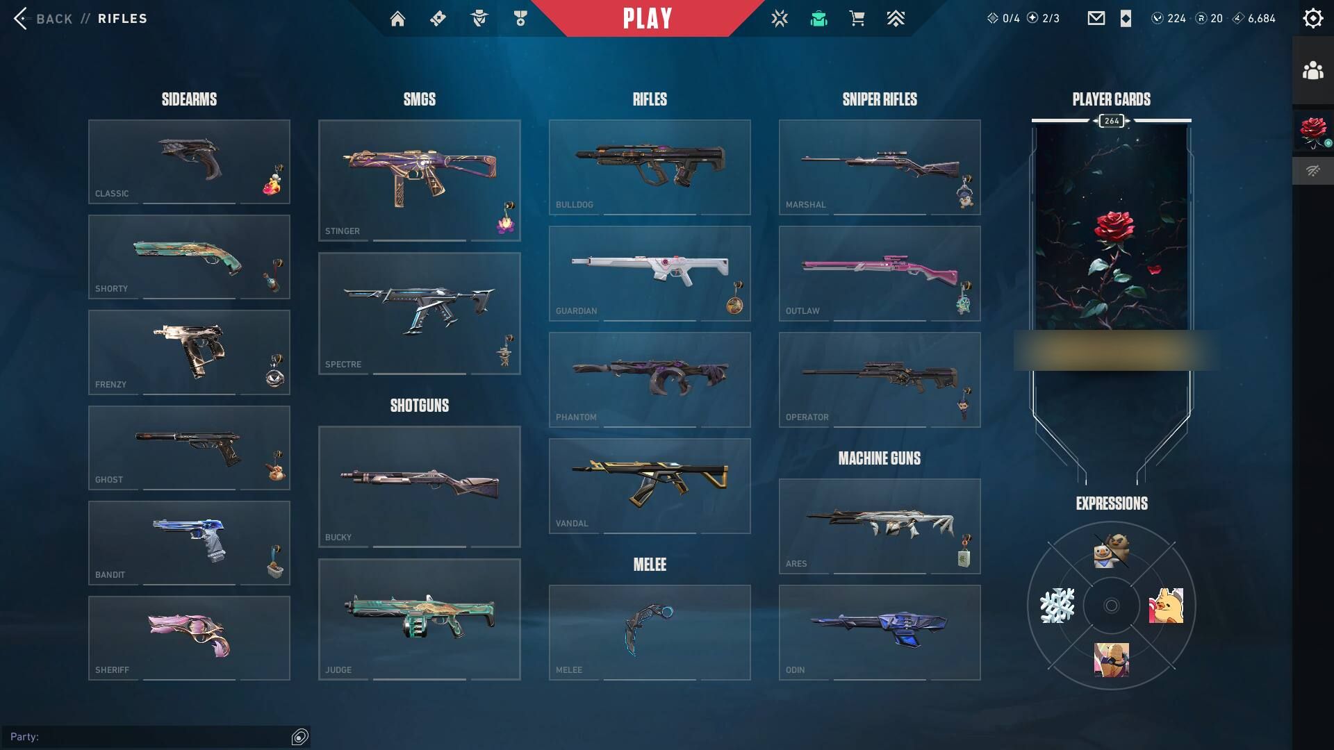 PC | Platinum Peak | Champions 2024 Blade + Phantom | 216 Skins | Full Email
