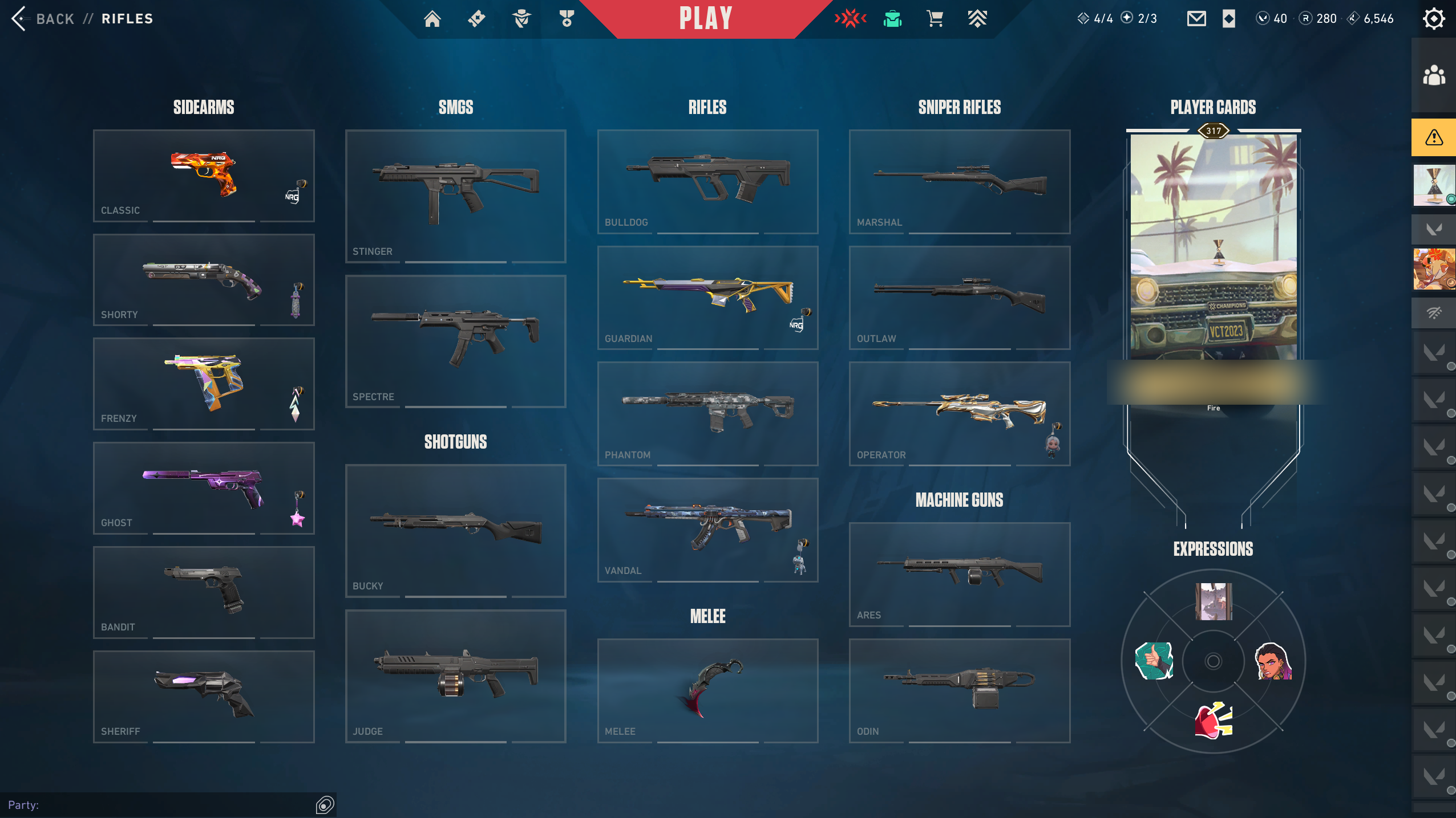 PC | Platinum Peak | Reaver Karambit | Champions 2023 Vandal | 11 Skins | Full Email