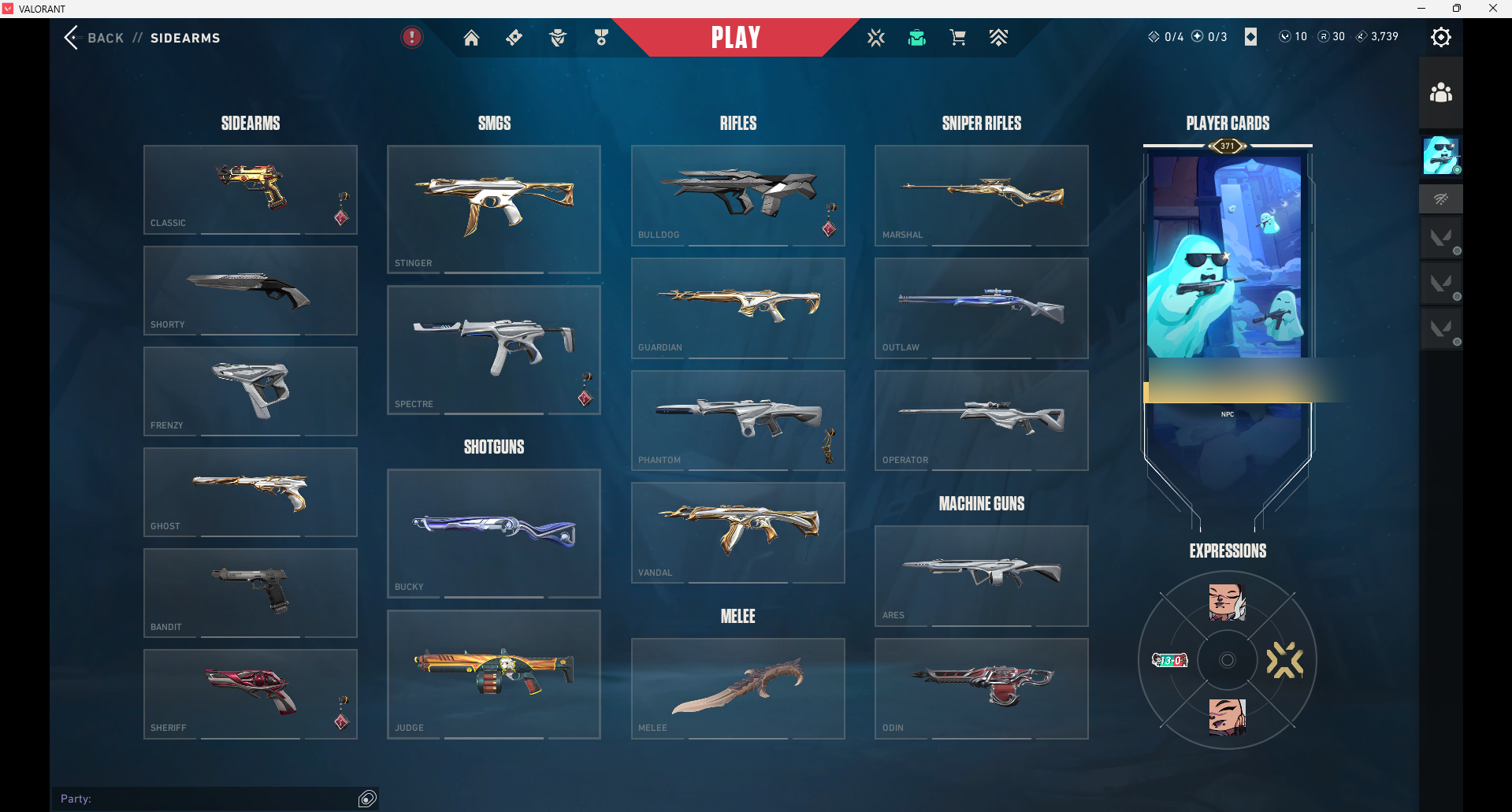 Immortal Peak | Champions 2021 Karambit + Vandal | 272 Skins