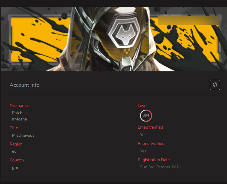 PC | Ascendant Peak | Champions 2021 Karambit + Vandal | 48 Skins - Image 4