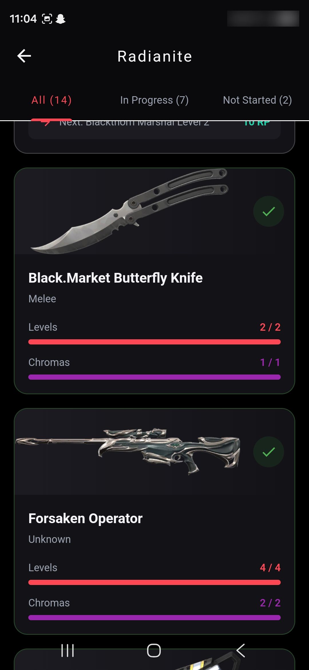 PC | Diamond Peak | RGX 11z Pro Karambit | Forsaken Operator | 9 Skins | Full Email - Image 5