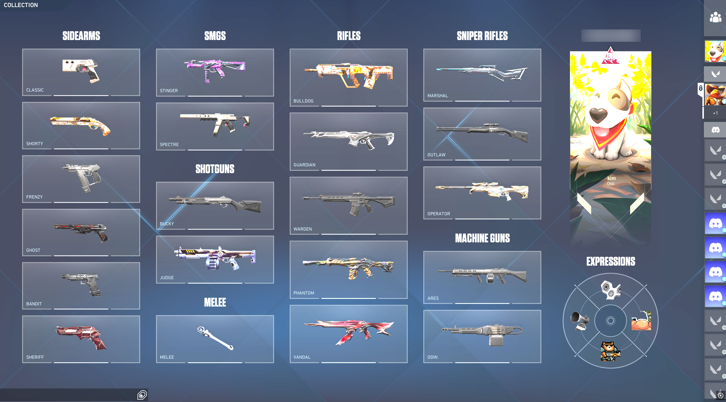PC | Singularity Sheriff | Rogue Bandit | Primordium Vandal | Radiant Peak | Full Email - Image 4