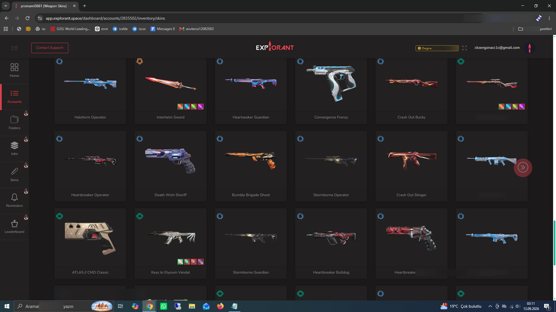 PC | Silver Peak | 99 Skins | Full Email - Image 5