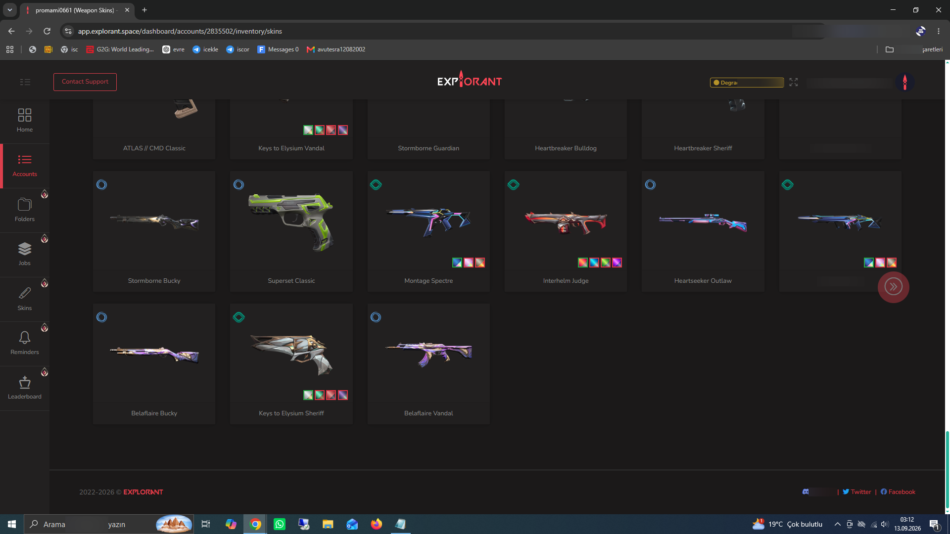 PC | Silver Peak | 99 Skins | Full Email - Image 6